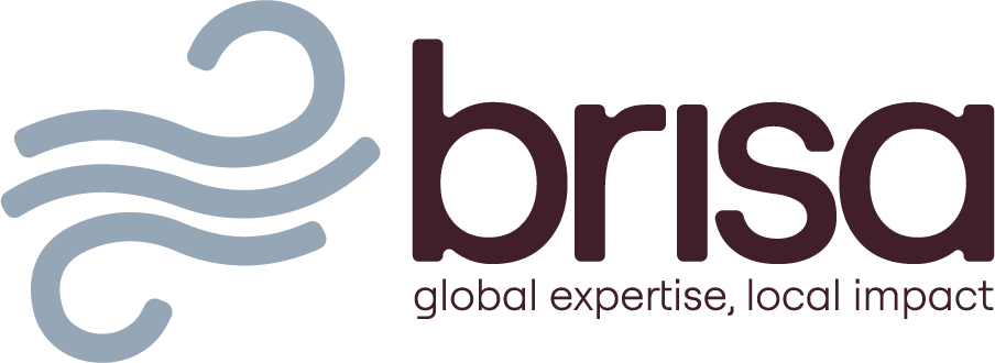 BRISA — Global expertise, local impact