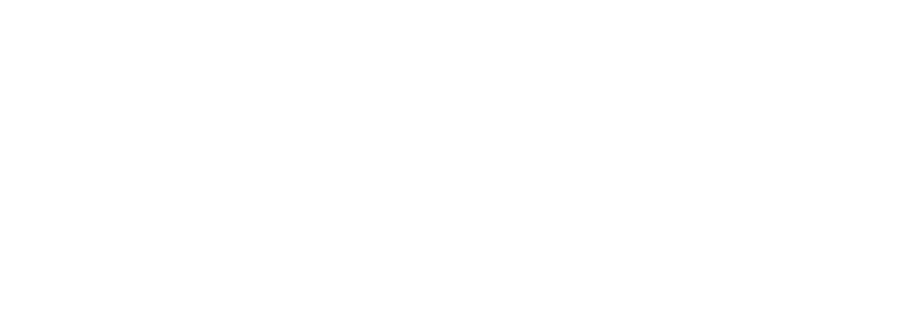 BRISA — Global expertise, local impact